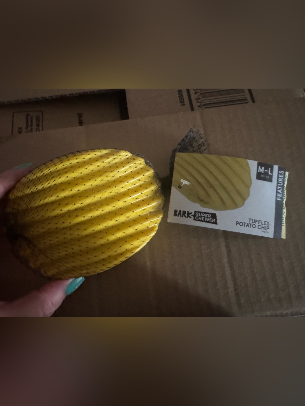 Bark Box Super Chewer ridged Potato Chip NEW M-L Dog toy